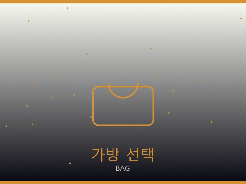 에륩스 맥시 플랩 레플리카 사이트 가방 선택 가이드