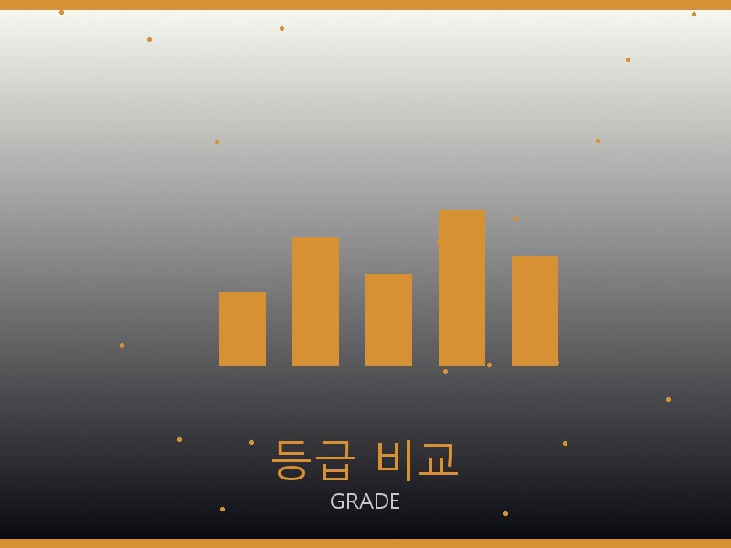 에륩스 맥시 플랩 레플리카 사이트 등급 기준 비교
